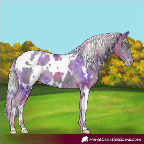 Horse Color:Gray Nacre White Spotted Cremello Appaloosa