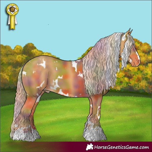 Horse Color:Nacre White Spotted Palomino Appaloosa 