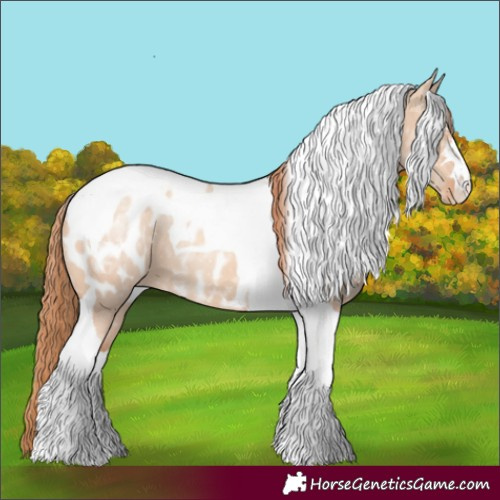 Horse Color:Gold Champagne Ice Dun Tobiano Appaloosa