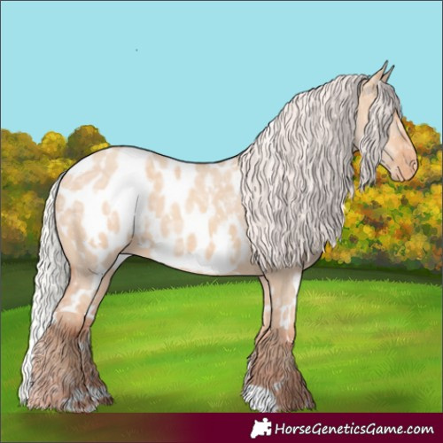 Horse Color:White Spotted Silver Amber Champagne Ice Dun Appaloosa