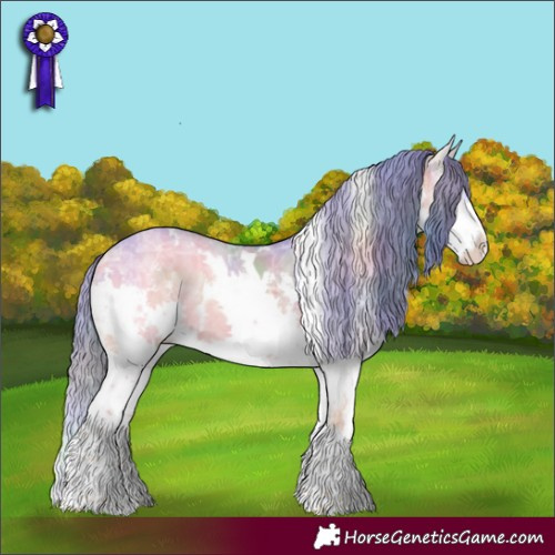 Horse Color:Nacre Watercolor White Spotted Buckskin Ice Onyx Splash Appaloosa