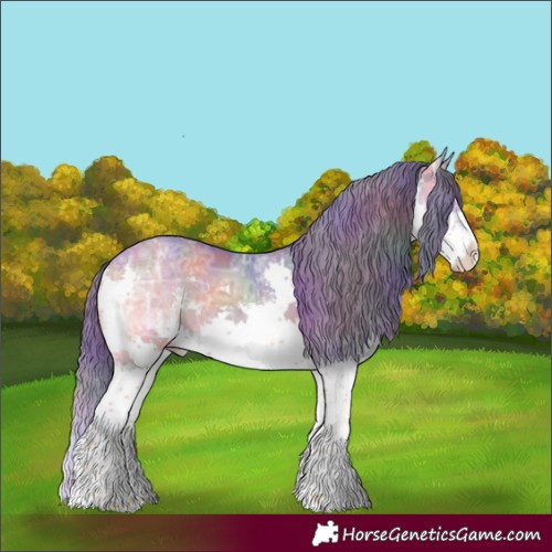 Horse Color:Nacre Watercolor White Spotted Smoky Blue Onyx Ice Splash Appaloosa