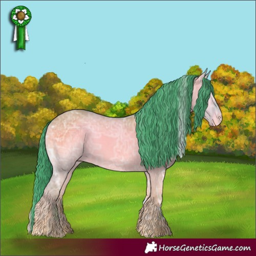 Horse Color:Watercolor White Spotted Grullo Ice Onyx Appaloosa