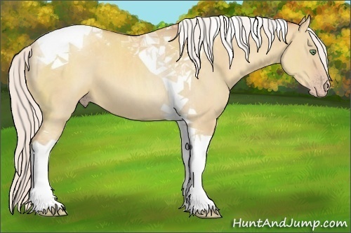 Horse Color:Silver Classic Champagne Dun Tobiano 