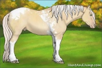 Horse Color:Silver Classic Champagne Dun Tobiano