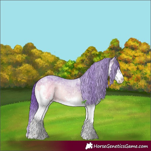 Horse Color:Watercolor White Spotted Chocolate Brown Chinchilla Ice Onyx Sabino Splash