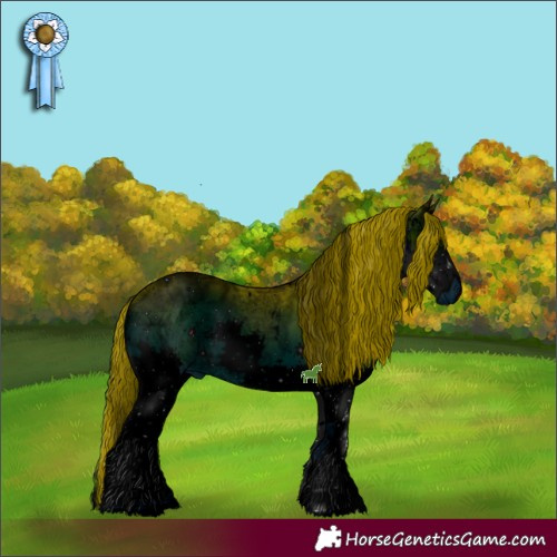 Horse Color:ERROR: UNKNOWN ANOMALY