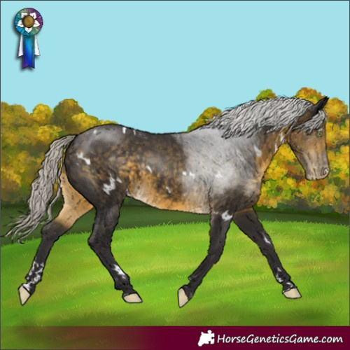 Horse Color:White Spotted Silver Buckskin Appaloosa 