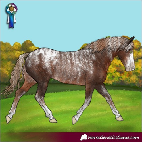 Horse Color:Powder White Liver Chestnut Appaloosa Rabicano 