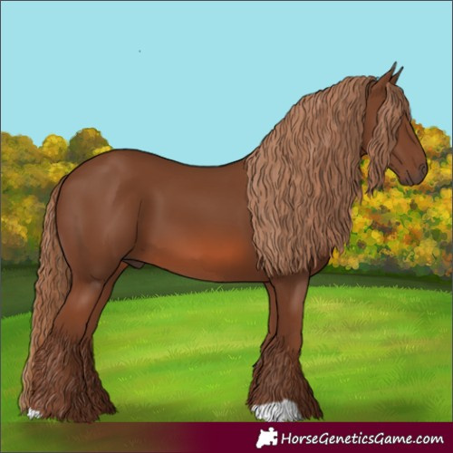 Horse Color:Chestnut 