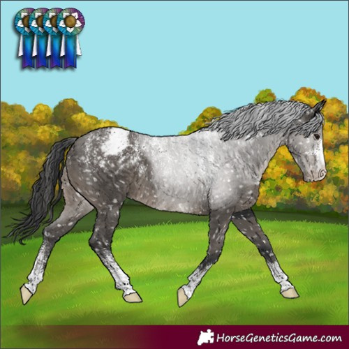 Horse Color:Powder White Grullo Snowcap 