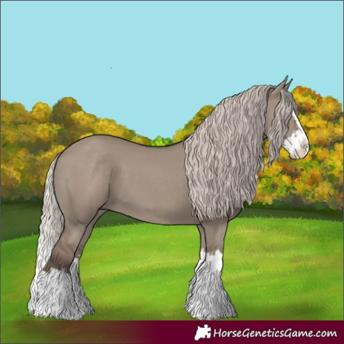 Horse Color:Silver Grullo Splash 