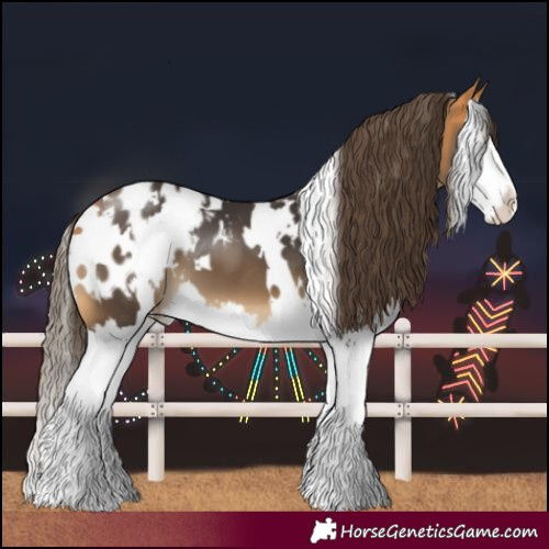 Horse Color:White Spotted Buckskin Splash Blanket 
