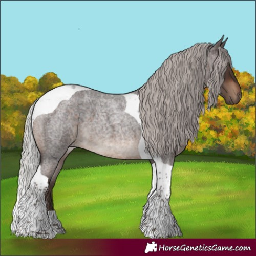 Horse Color:Silver Brown Roan Tobiano
