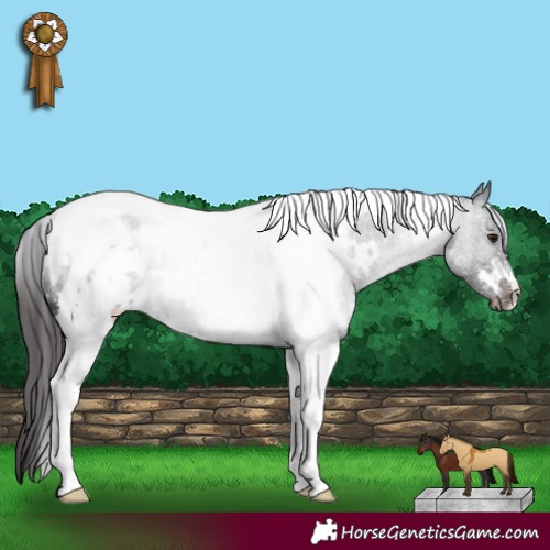 Horse Color:White Spotted Smoky Black Tobiano Appaloosa Rabicano 