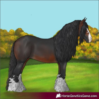 Horse Color:Brown 