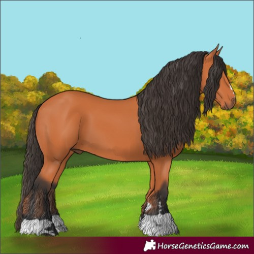 Horse Color:Unknown 