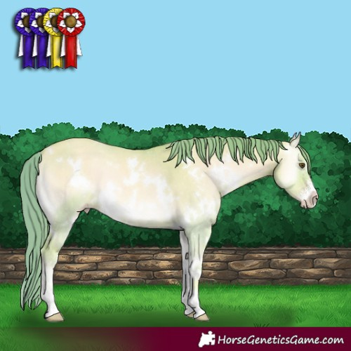 Horse Color:Watercolor White Spotted Gold Champagne Onyx Sabino