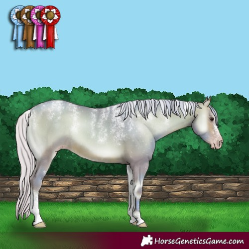 Horse Color:Powder White Gray Watercolor Silver Sable Champagne Onyx Sabino Rabicano 