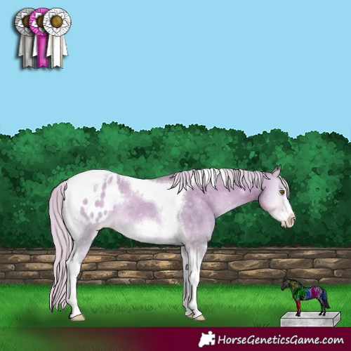 Horse Color:Watercolor Silver Sable Cream Champagne Onyx Tobiano Frame Appaloosa Rabicano 