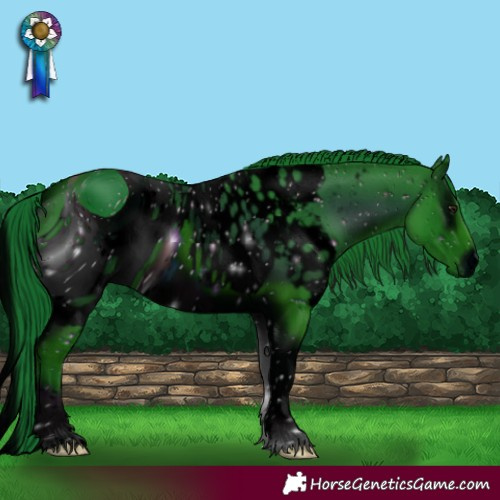 Horse Color:ERROR: UNKNOWN ANOMALY