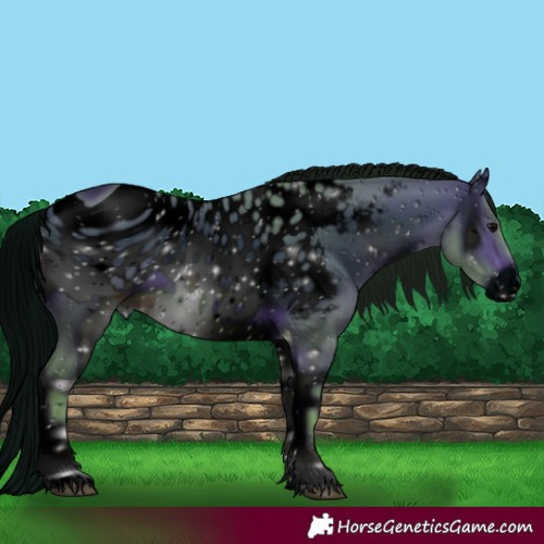 Horse Color:ERROR: UNKNOWN ANOMALY