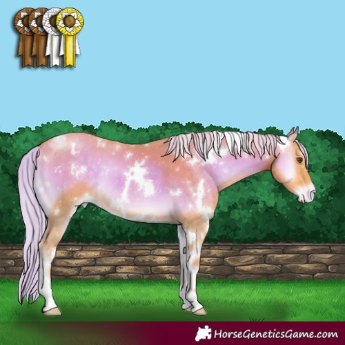 Horse Color:Watercolor White Spotted Gold Cream Champagne Onyx Appaloosa