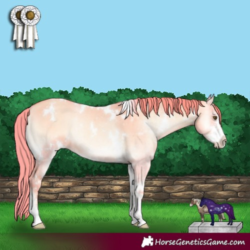 Horse Color:Watercolor White Spotted Gold Champagne Onyx Sabino