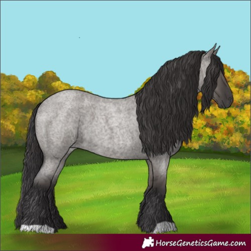 Horse Color:Smoky Grullo Roan 