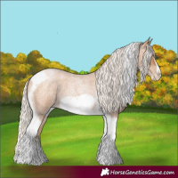 Horse Color:Silver Blue Roan Pearl Tobiano Frame 