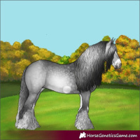 Horse Color:Gray White Spotted Black Sabino Frame 