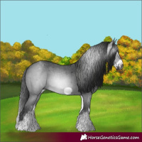 Horse Color:Gray White Spotted Black Sabino Frame 