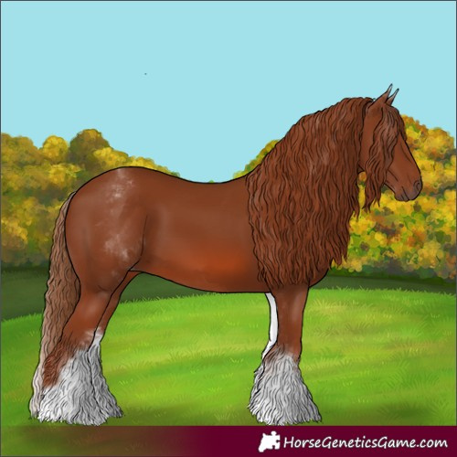 Horse Color:White Spotted Chestnut
