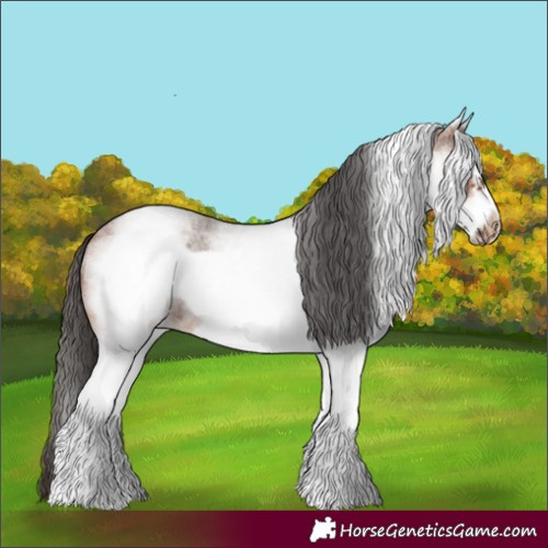 Horse Color:White Spotted Bay Roan Frame 