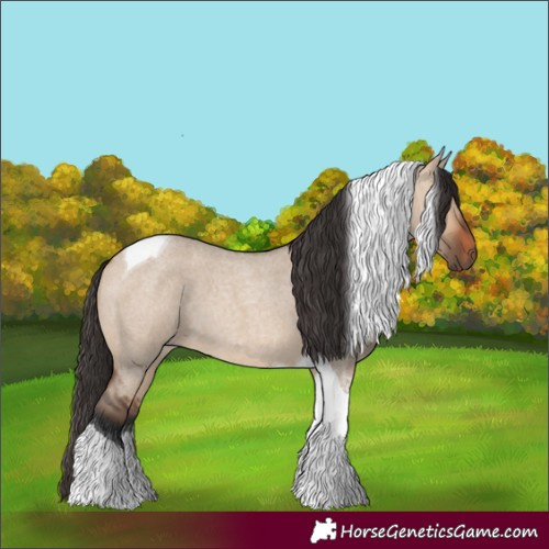Horse Color:Bay Roan Dun Tobiano 