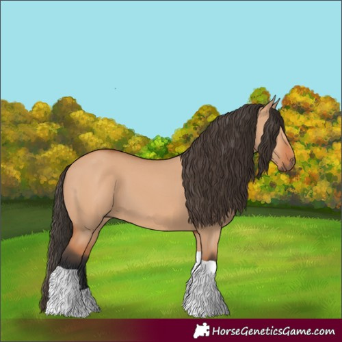 Horse Color:Bay Dun Tobiano