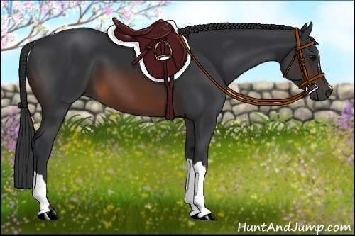 Horse Color:Brown 