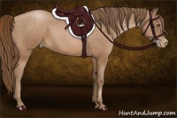 Horse Color:Brown Pearl 