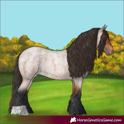 Horse Color:Bay Roan