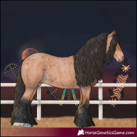Horse Color:Bay Roan 
