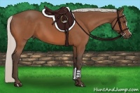 Horse Color:Silver Bay
