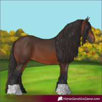 Horse Color:Brown 