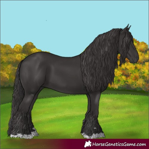 Horse Color:Unknown 