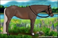 Horse Color:Silver Brown 