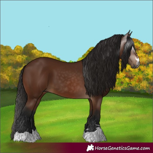 Horse Color:Gray Bay
