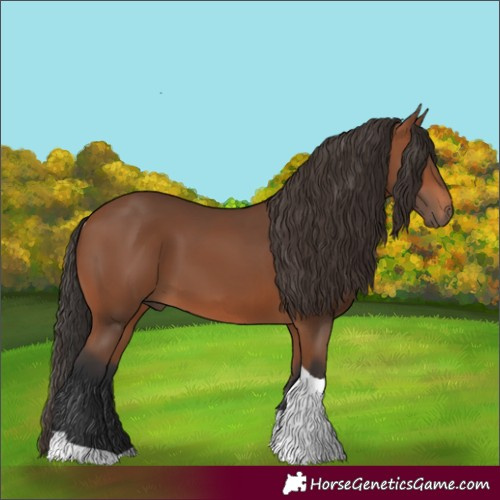 Horse Color:Bay Tobiano 