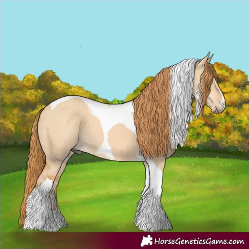 Horse Color:Red Dun Tobiano
