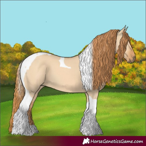 Horse Color:Red Dun Tobiano