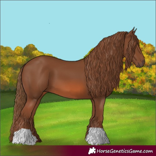 Horse Color:Chestnut 
