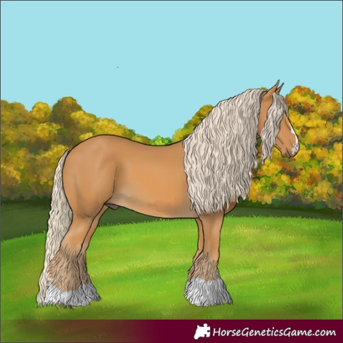 Horse Color:Palomino 